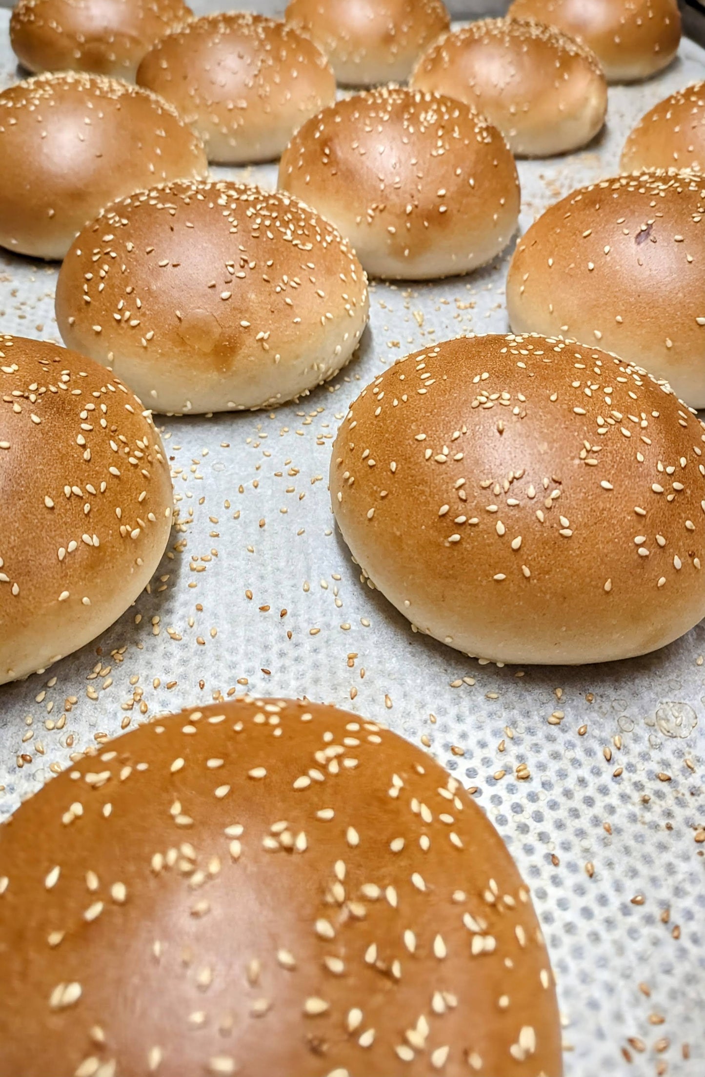Original Burger Bun 25er Box