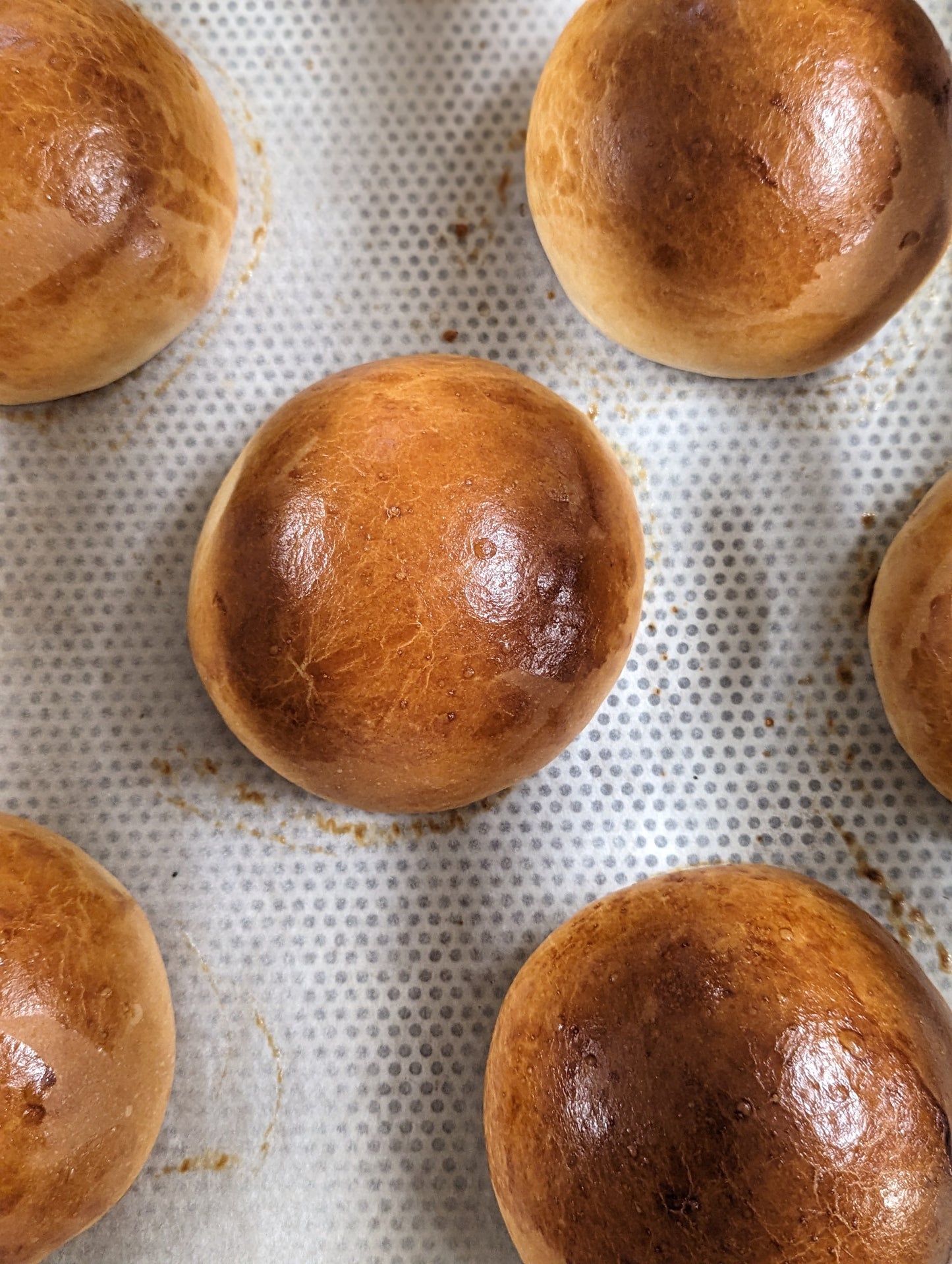 Brioche Bun deluxe 25er Box